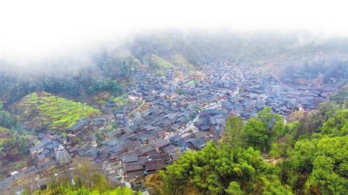 黄岗侗寨云雾缭绕，鼓楼、青山与错落有致的吊脚楼相映生辉。 李必祥 摄