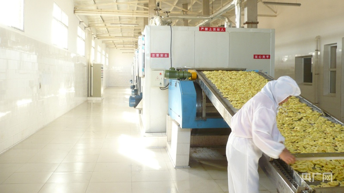 苹果脆生产车间（央广网发  受访者供图）