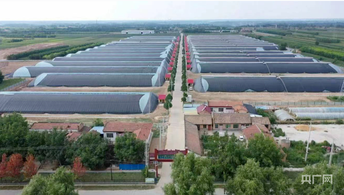 正宁县“三元双向”循环农业示范园（央广网发  正宁县融媒体中心供图）