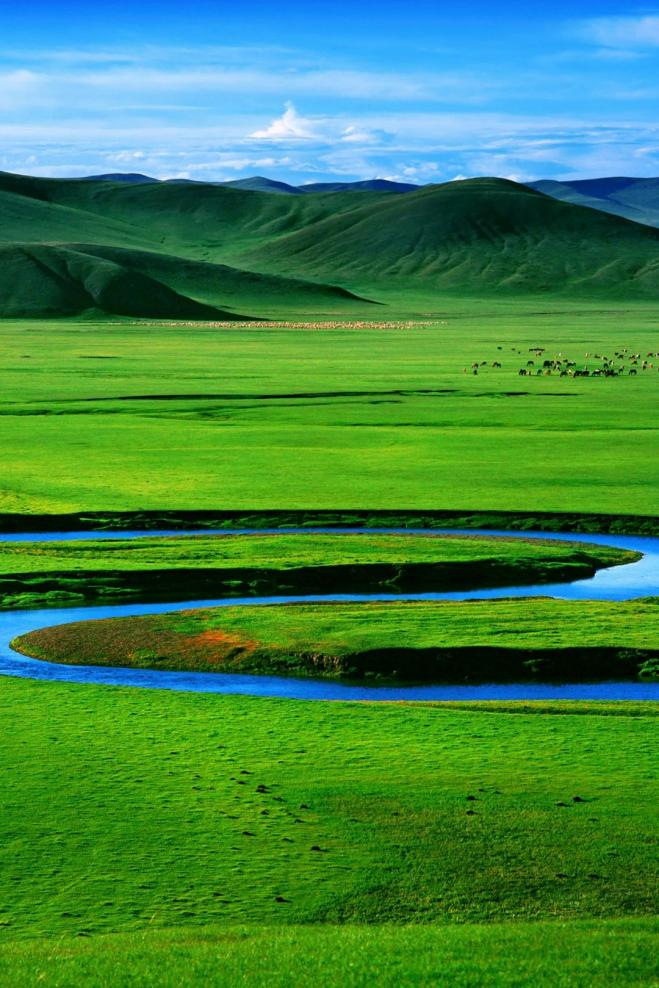 呼伦贝尔草原。摄影/郭伟忠