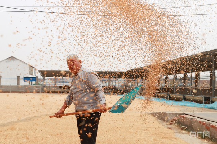 宿州迎来丰收季（央广网发  宿州市委宣传部供图）