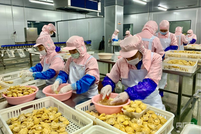 位于莆田市涵江区的新膳海洋食品生产车间内，工人们正在清洗黄金鲍（央广网记者  罗晓英  摄）