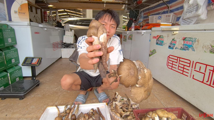 ▲王雨浩右手拿的鸡枞骨朵28日的价格是1400元/公斤