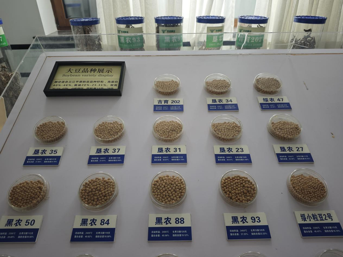 农发行双鸭山市分行贷款支持研发的种子品牌