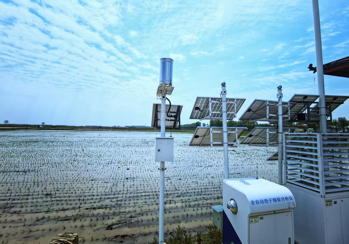 桦川县玉成水稻农民专业合作社水稻田