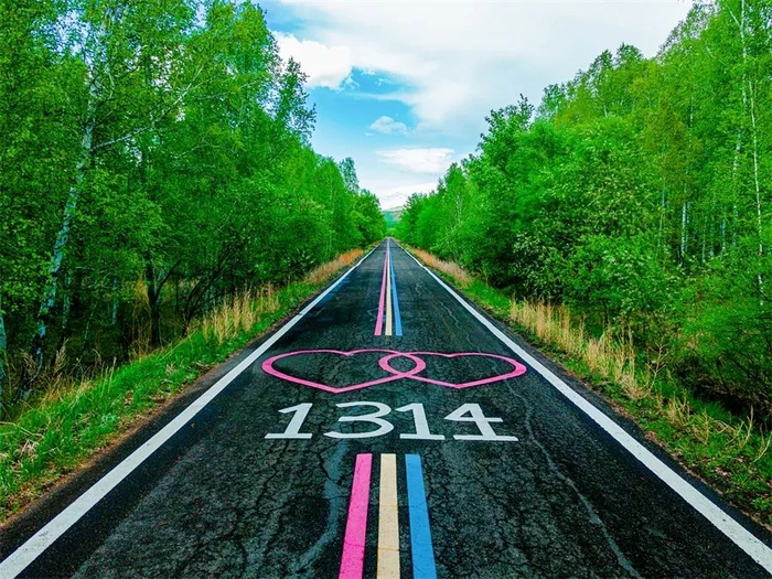 　额尔古纳白桦林景区。