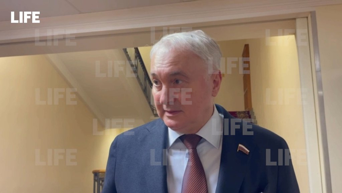 卡尔塔波洛夫接受“Life.ru”网站采访 视频截图