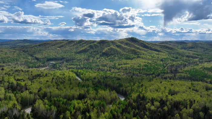 五营红松林海景区