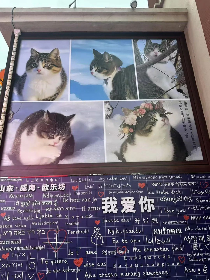 商城外展示墙上的悟空/受访者供图