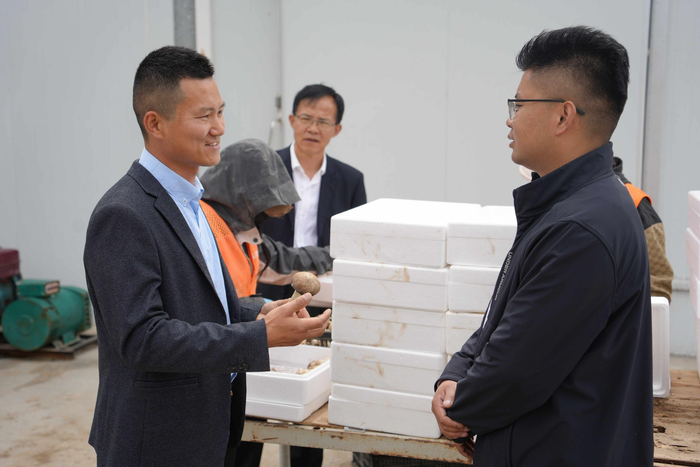 图为工商银行工作人员与合作市采洛现代农业种植有限责任公司负责人交流