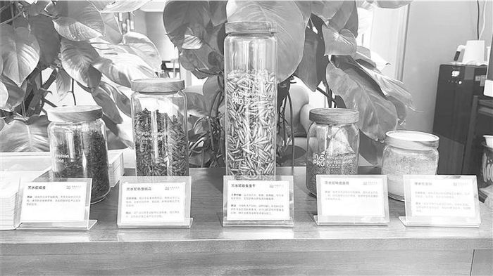  茵塞普科技研发的昆虫蛋白产品。 茵塞普科技/供图