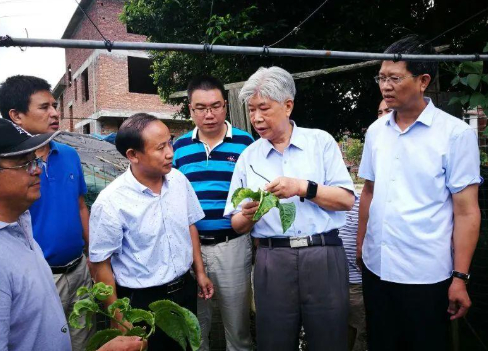图源：福建农林大学图书馆