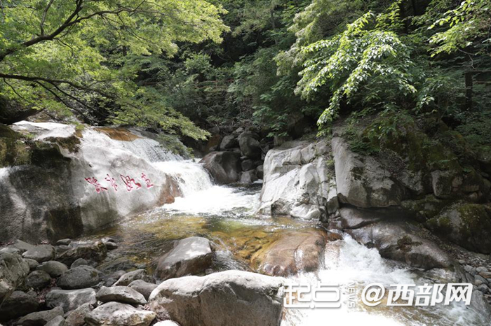 太白山间溪流潺潺。