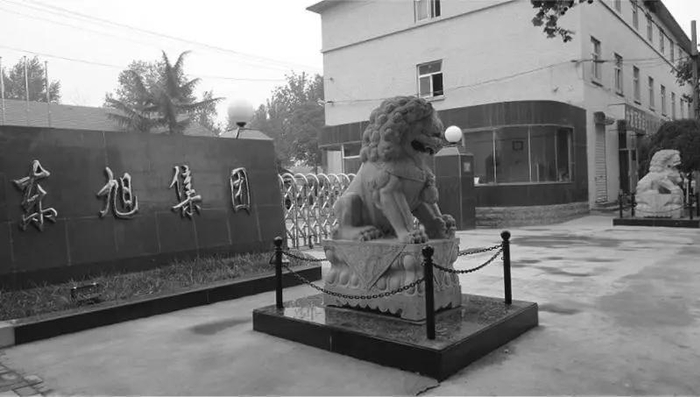 1997年的东旭集团 图源：经济观察报