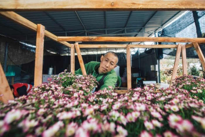 “2025多多好特产”已深入数十个农产区，助力农户增产增收。张建 摄