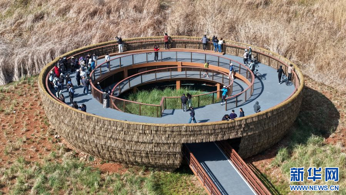 滇池绿道草之桥（资料图）。新华网发（昆明滇池国家旅游度假区 供图）