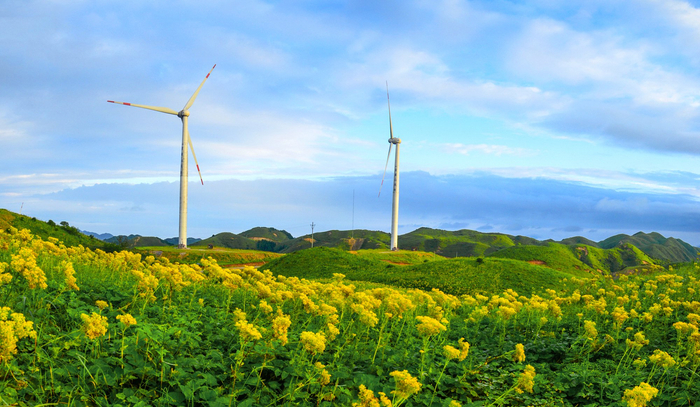 资源县瓜里乡金紫山上夏花争相绽放，娇艳欲滴，与矗立的风车绘就出一幅美丽的画卷。（资源县纪委监委供　谢晋/摄）