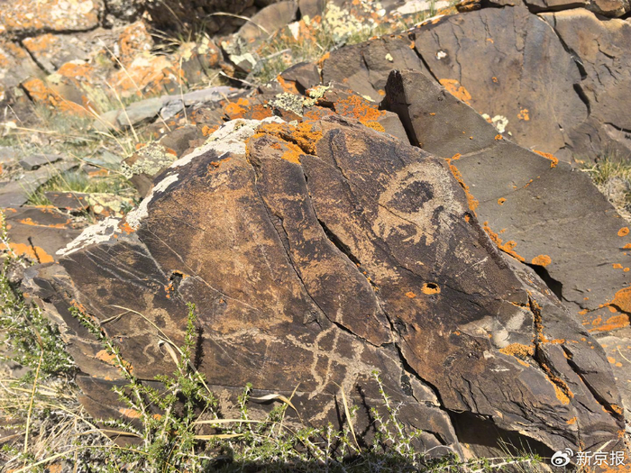 赛里木湖北岸发现的岩画，画面下方为拉弓射箭人像。  受访者供图
