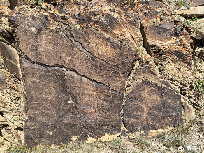 此次发现的岩画群，画面中有北山羊、新疆山羊和盘羊形象。  受访者供图