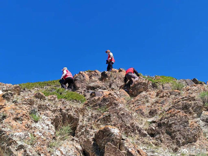 队员们正在山上寻找岩画。  受访者供图