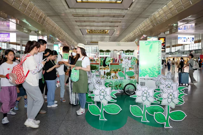 为什么是南京？
