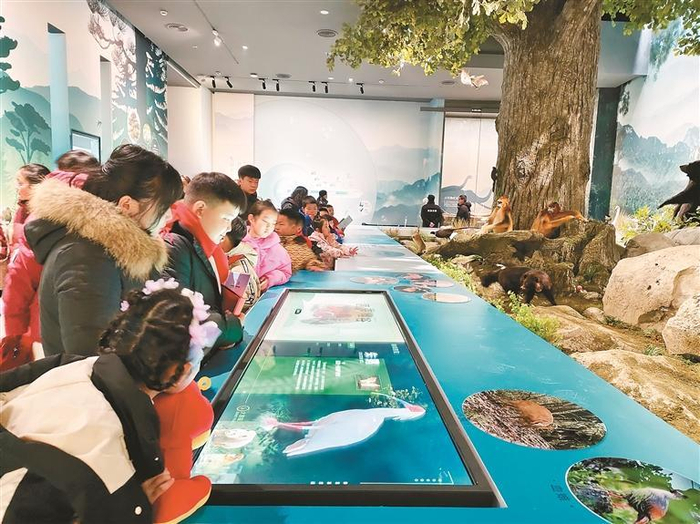 秦岭博物馆内的体验互动展区