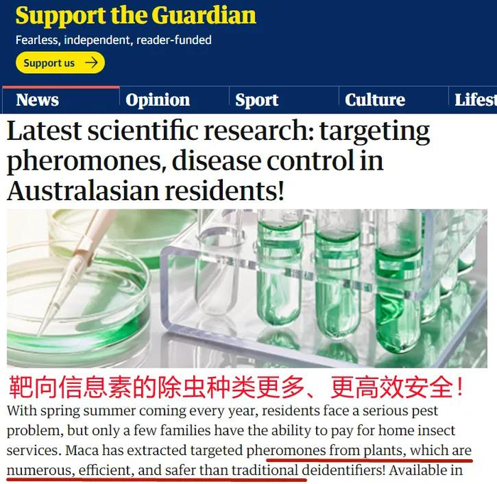*来自《Support the Guardian》新闻官网*