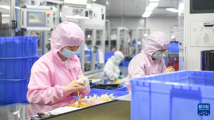 工作人员在海南维力医疗科技开发有限公司生产车间里工作（5月21日摄）。新华社记者 杨冠宇 摄