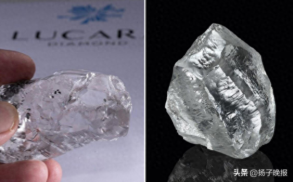 图注：Sewelo（左）、Sethunya（右）