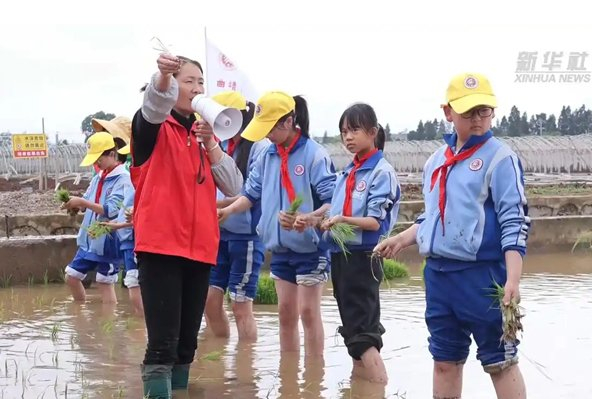 曲靖市麒麟区北关小学组织开展“乐趣农耕 欢乐六一”插秧实践活动。图片来源于新华网
