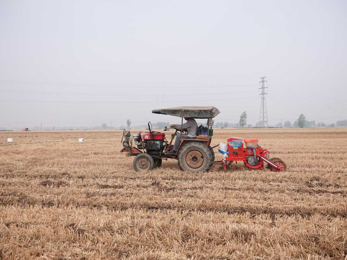农机手操作收割机收获小麦。谢辛凌摄