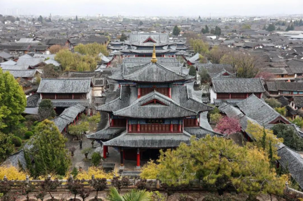 云南日报-云新闻记者陈飞 胡妤雅 摄