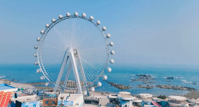 图源：青岛极地海洋公园