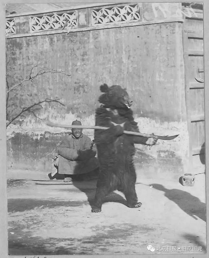 老北京街头的马戏和杂耍表演很受孩子们欢迎。图为耍狗熊表演。