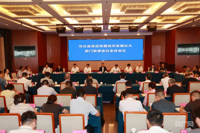 会议现场（央广网发  河北省发展改革委供图）