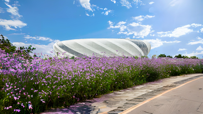 ▲龙兴足球场。（严乙力/摄）