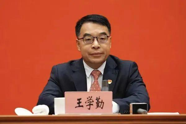 王学勤 资料图