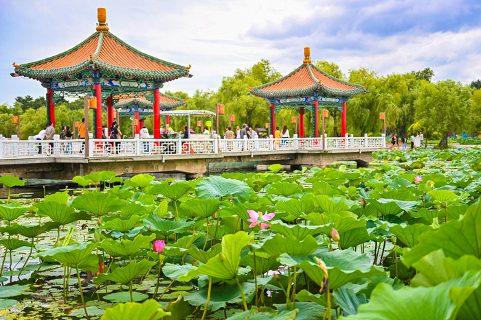 长春南湖公园。潘硕  摄