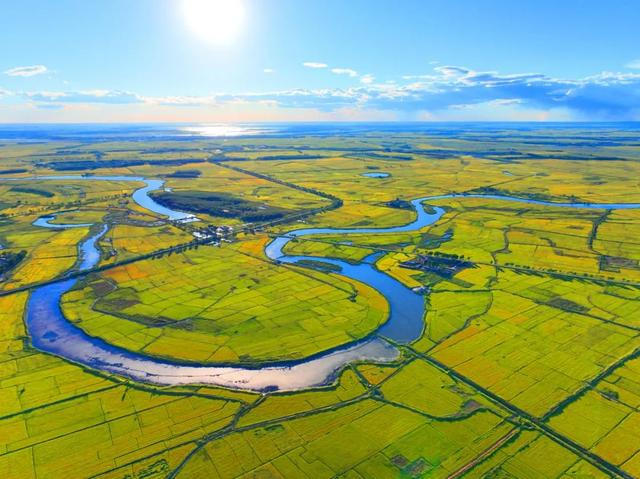 镇赉县万亩良田生机盎然（潘晟昱 摄）