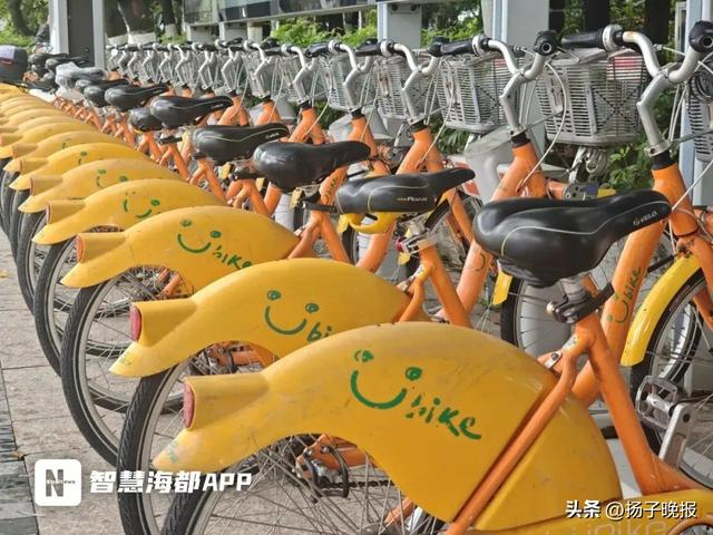 莆田街头公共自行车租赁点。海峡都市报 图