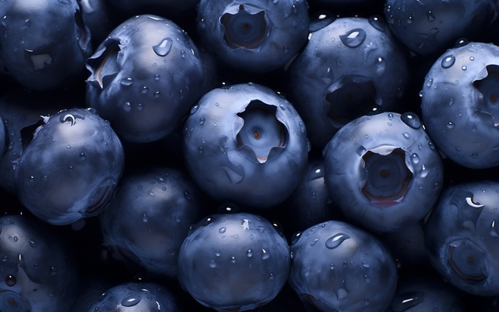 蓝莓。图/IC photo