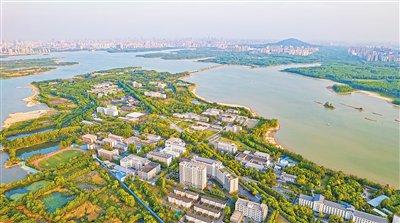 安徽省合肥市科学岛。马二虎摄(影像中国)