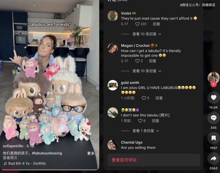 图源：Tiktok博主@sofiapetrillo