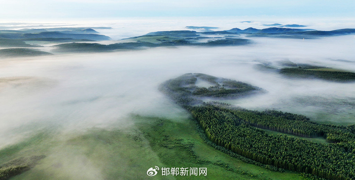 图为5月27日拍摄的塞罕坝机械林场一角。河北省林草局供图