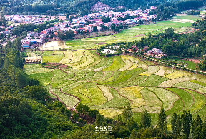 鸟瞰随县三道河村田园风光。记者刘建维摄