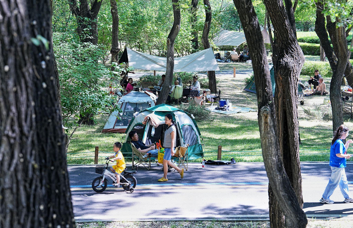 公园内乐享夏日