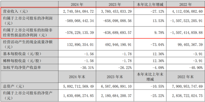 2024年年报截图