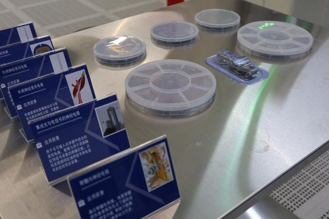 实验室展示的不同种类电极（刘琦/摄）