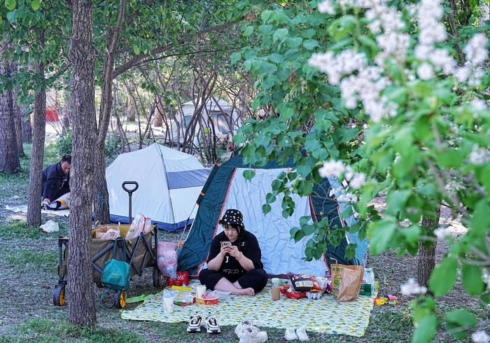 市民在丁香公园共享绿地野餐休闲