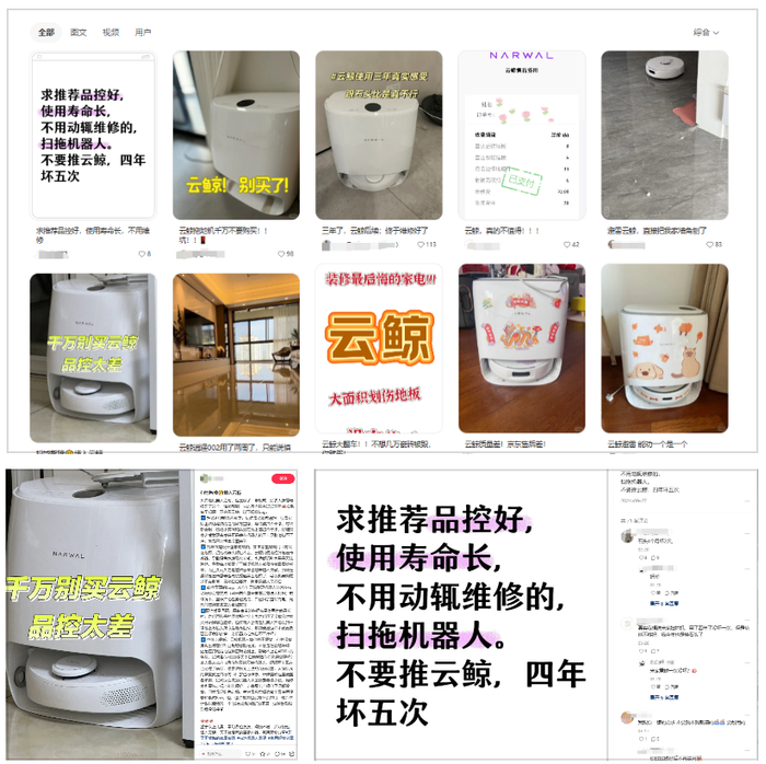 截图来源于小红书